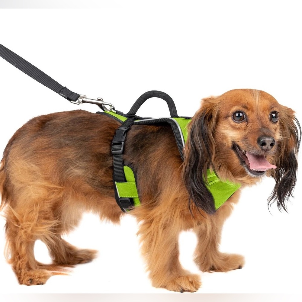 NWT PetSafe EasySport Nylon Reflective Back Clip Dog Harness - size XS - Picture 1 of 4
